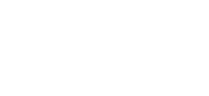 BCGI_WhiteLogo