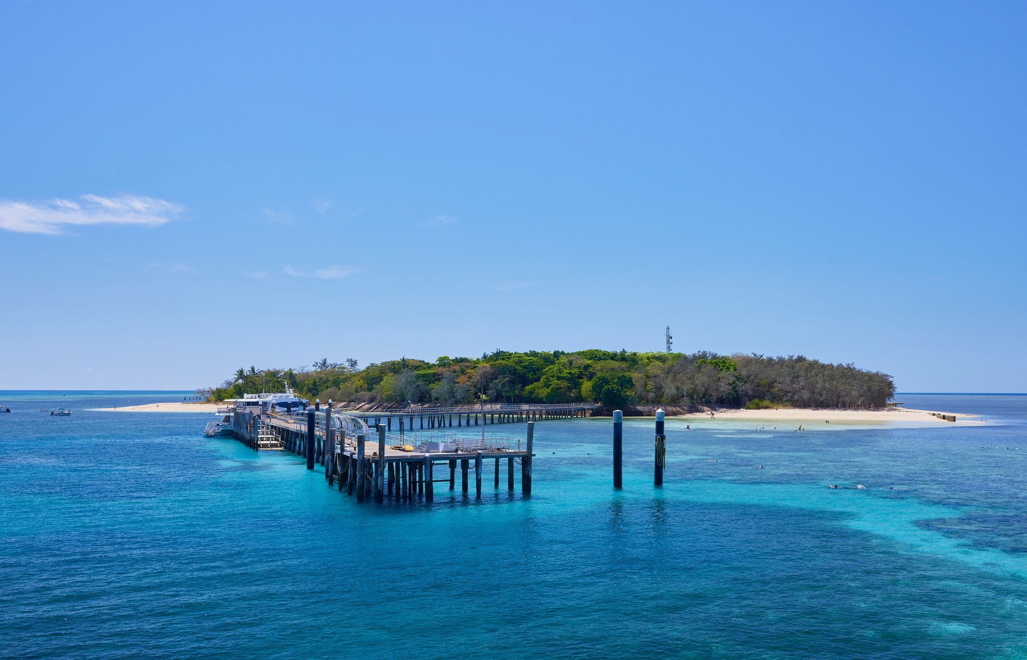 Big_Cat_Green_Island_Reef_Cruises_NorthQLD_211016-6309