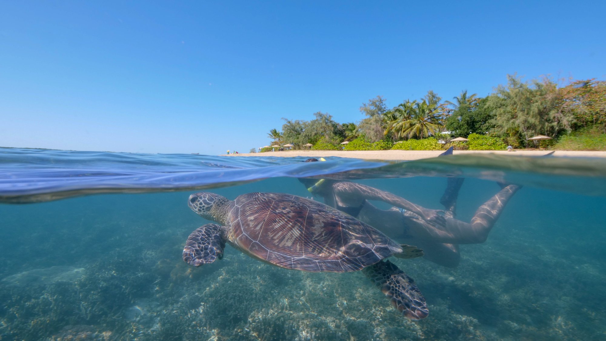 2. Snorkelling at Low Isles