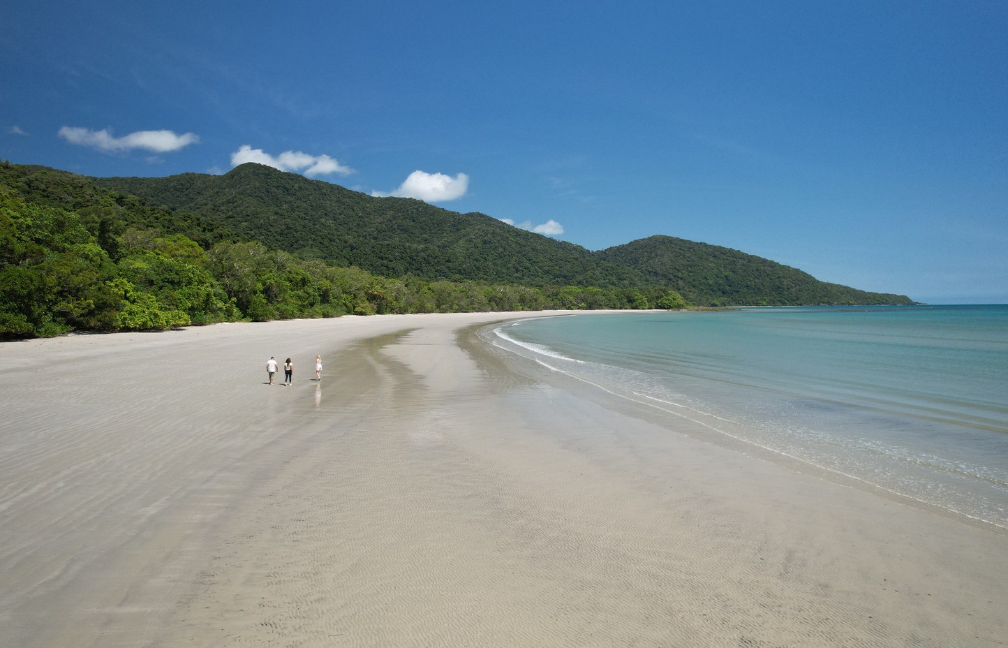 Daintree 1-Dec-12-2023-04-57-47-6510-AM
